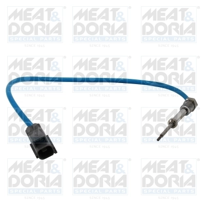 Sensor, exhaust gas temperature